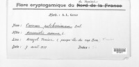 Image Associated With the Occurrence